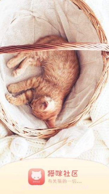 猫咪社区官网app安卓通道下载截图1 猫咪社区官网app安卓通道下载截图1