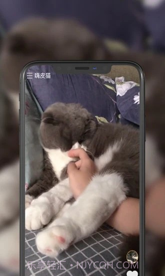 嗨皮猫短视频截图4 嗨皮猫短视频截图4