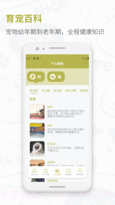 爱宠猫狗翻译器截图3