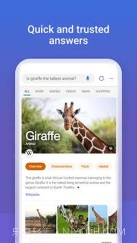 NewBing截图1 NewBing截图1