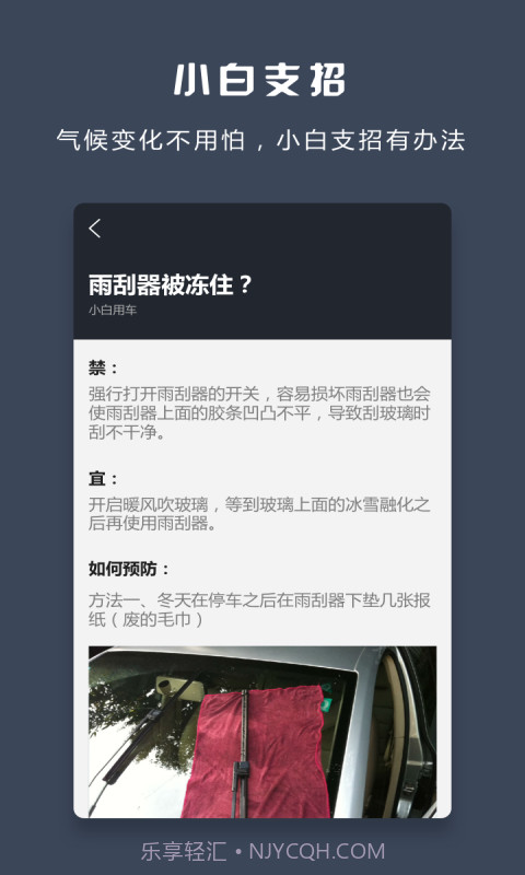 小白用车截图4