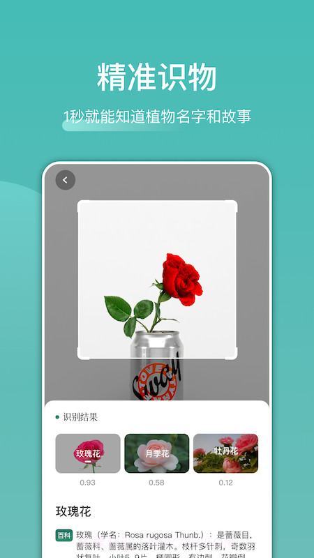 识花识物截图3 识花识物截图3