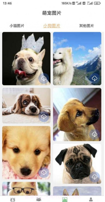 云宇猫狗翻译截图3