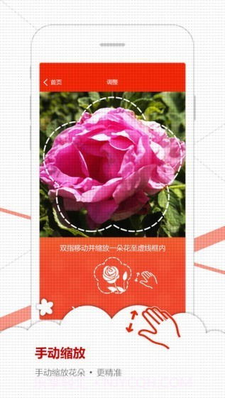 微软识花截图2 微软识花截图2