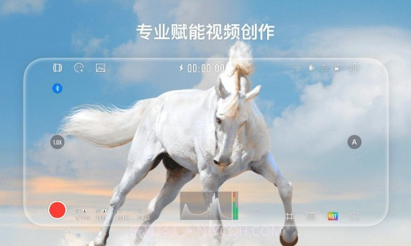 StaCam截图1 StaCam截图1