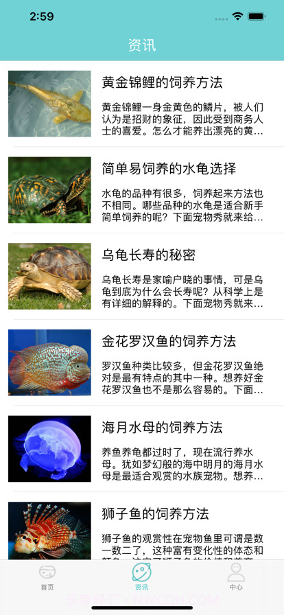 毕养鱼截图2 毕养鱼截图2