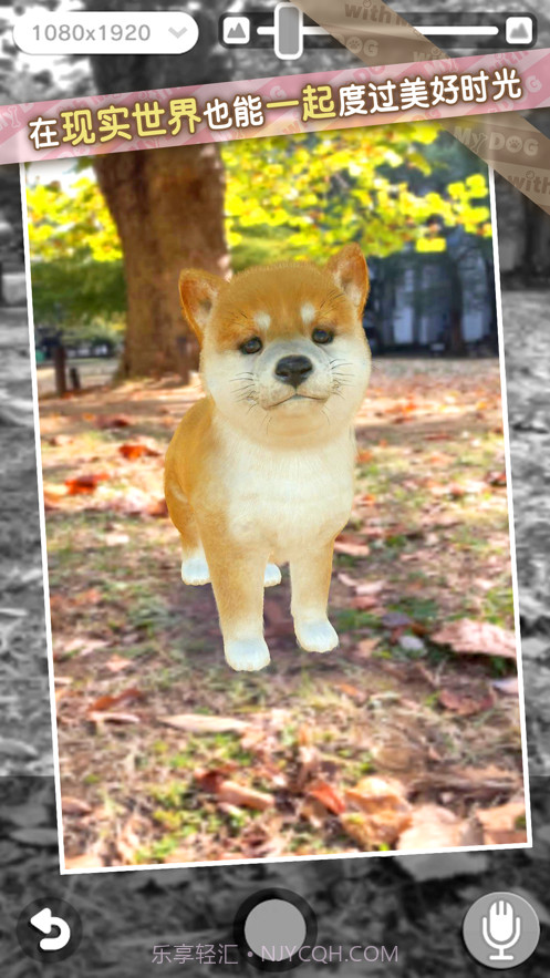 我的梦中情狗截图10 我的梦中情狗截图10