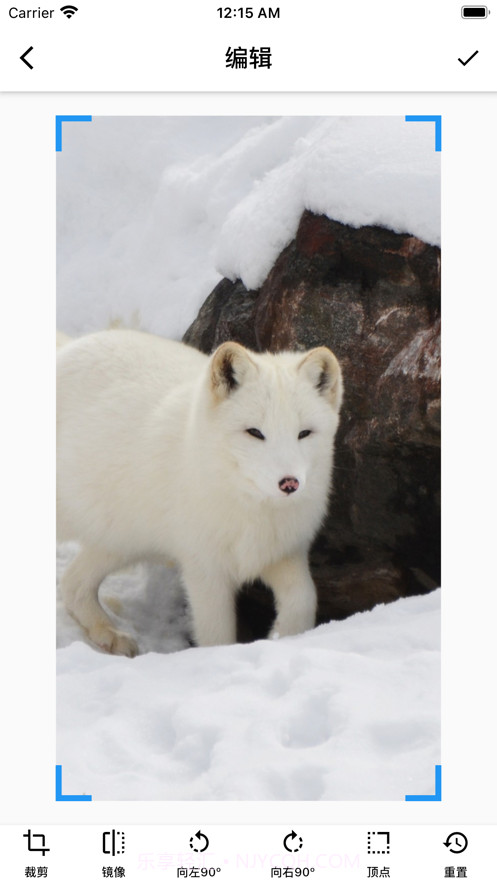 牛牛壁纸截图4 牛牛壁纸截图4