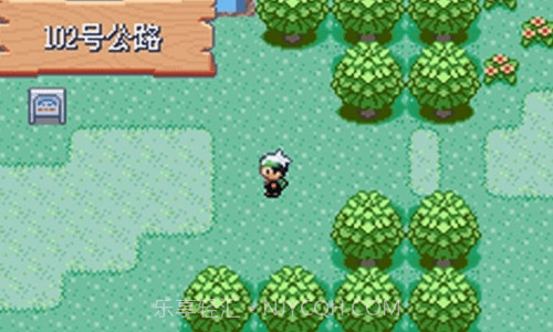 口袋妖怪绿宝石rom截图3