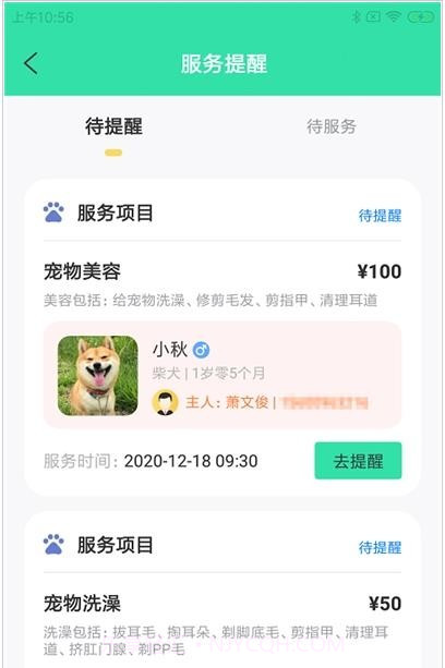 奇飞宠掌馆v1.0.0截图3 奇飞宠掌馆v1.0.0截图3