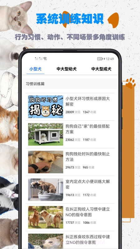 训练狗狗教程截图2 训练狗狗教程截图2