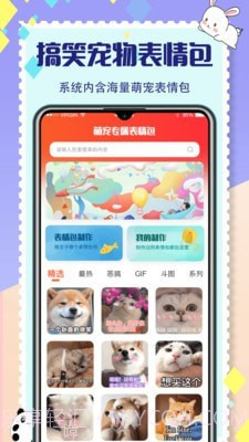 猫咪交流截图3 猫咪交流截图3