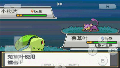 口袋妖怪心金截图3 口袋妖怪心金截图3