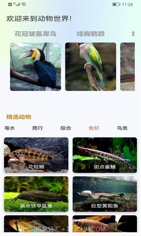 广场动物园截图3 广场动物园截图3