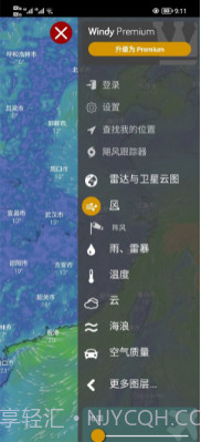 windy天气截图2
