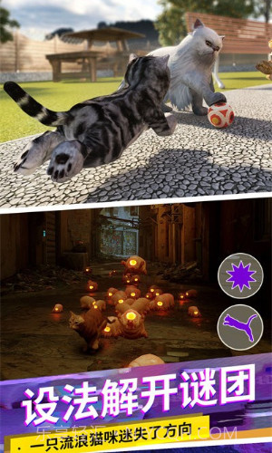 猫咪城市模拟器截图3