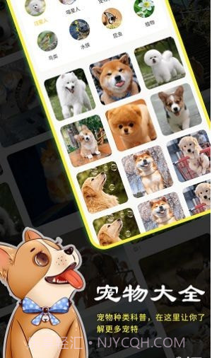 橙猫截图1 橙猫截图1