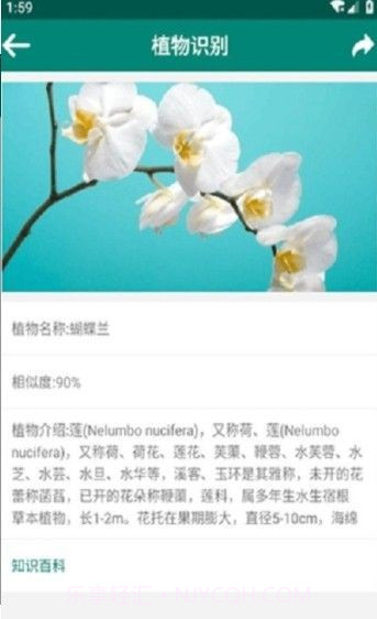 银河植物识别扫描截图2 银河植物识别扫描截图2