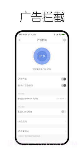神奇浏览器截图3