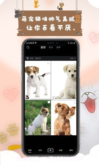 宠艾短视频截图2 宠艾短视频截图2