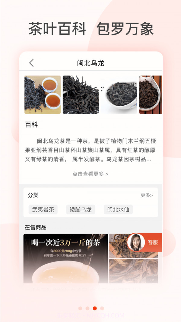 茶急送截图4 茶急送截图4