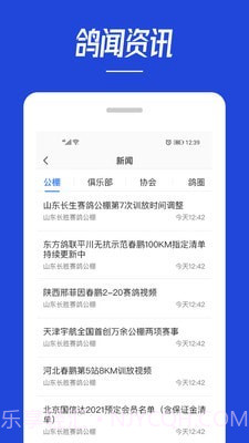 青鸽网截图1 青鸽网截图1