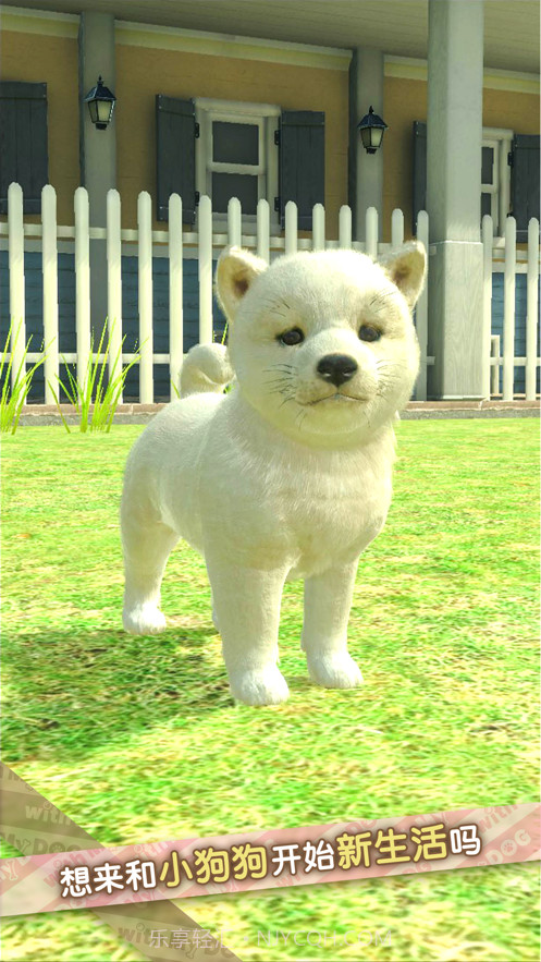 我的梦中情狗截图1 我的梦中情狗截图1