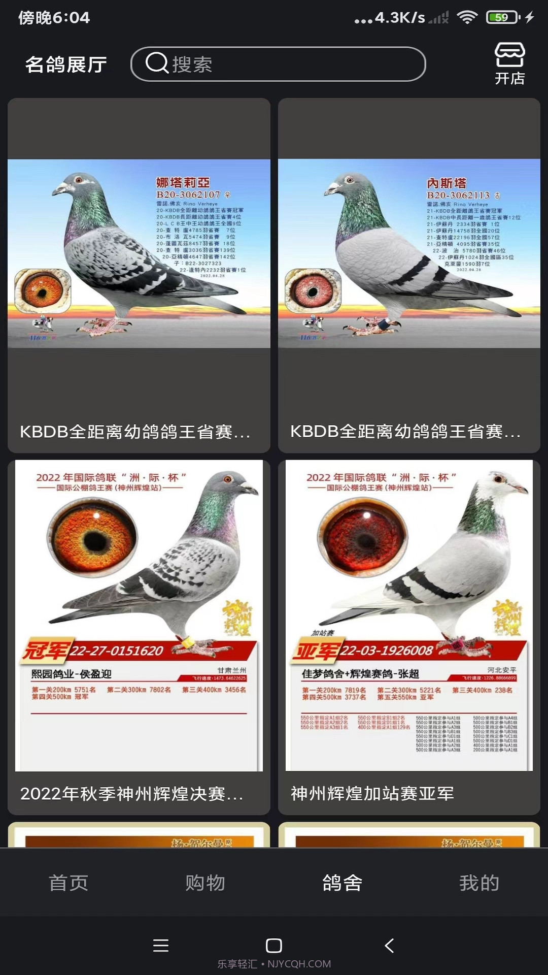 鸽报截图1 鸽报截图1