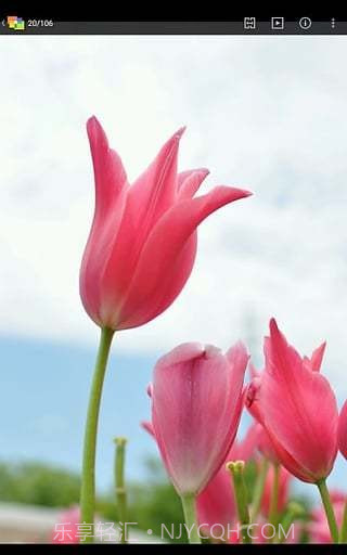 NIKONIMAGESPACE截图3 NIKONIMAGESPACE截图3