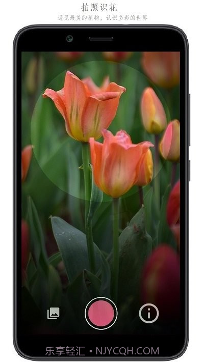 万物识别截图2 万物识别截图2