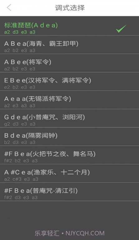 智能琵琶调音器截图2