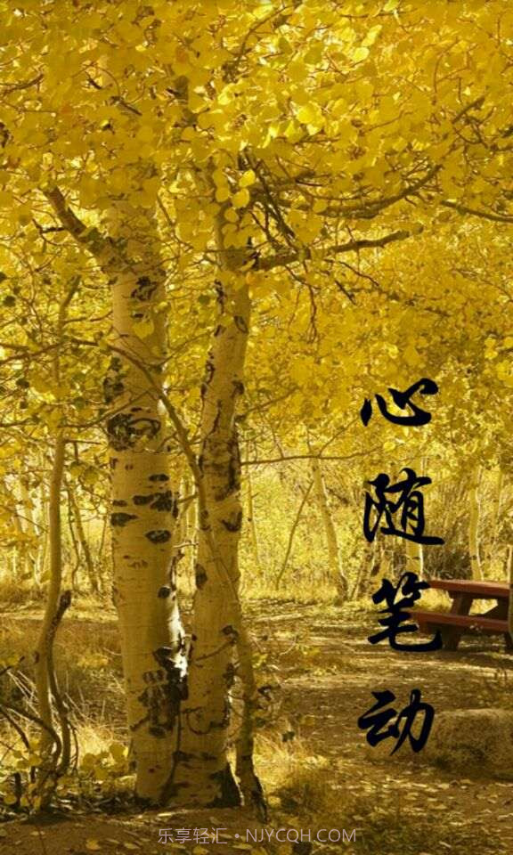 悦享记截图2 悦享记截图2