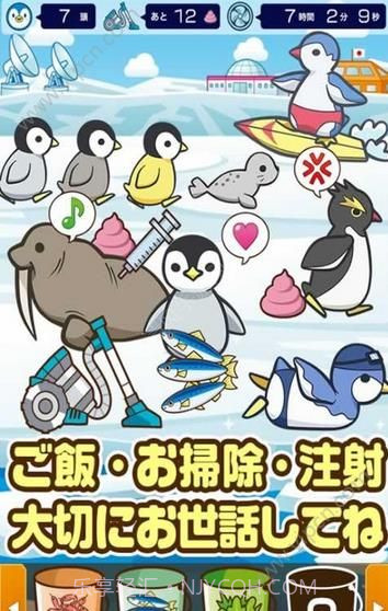 北极动物园九游版截图2