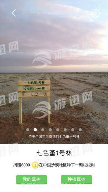 七色堇截图4 七色堇截图4