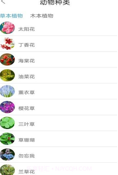 品植-植物识别软件截图1
