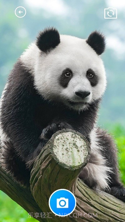 糯米助手截图3 糯米助手截图3