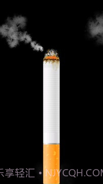 卷烟模拟器截图1 卷烟模拟器截图1