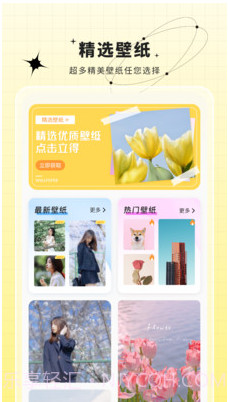 壁纸大全免费截图2