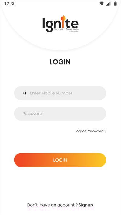 点燃ignite截图2 点燃ignite截图2