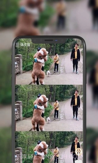 嗨皮猫短视频截图1 嗨皮猫短视频截图1