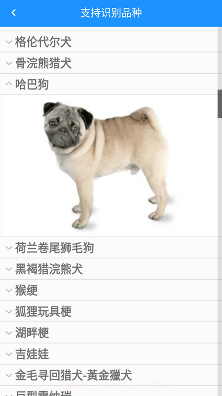 哈狗万能拍照识别截图2 哈狗万能拍照识别截图2