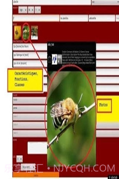 ABA自闭症教育截图2 ABA自闭症教育截图2