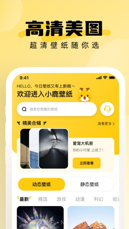 小鹿壁纸大全截图2