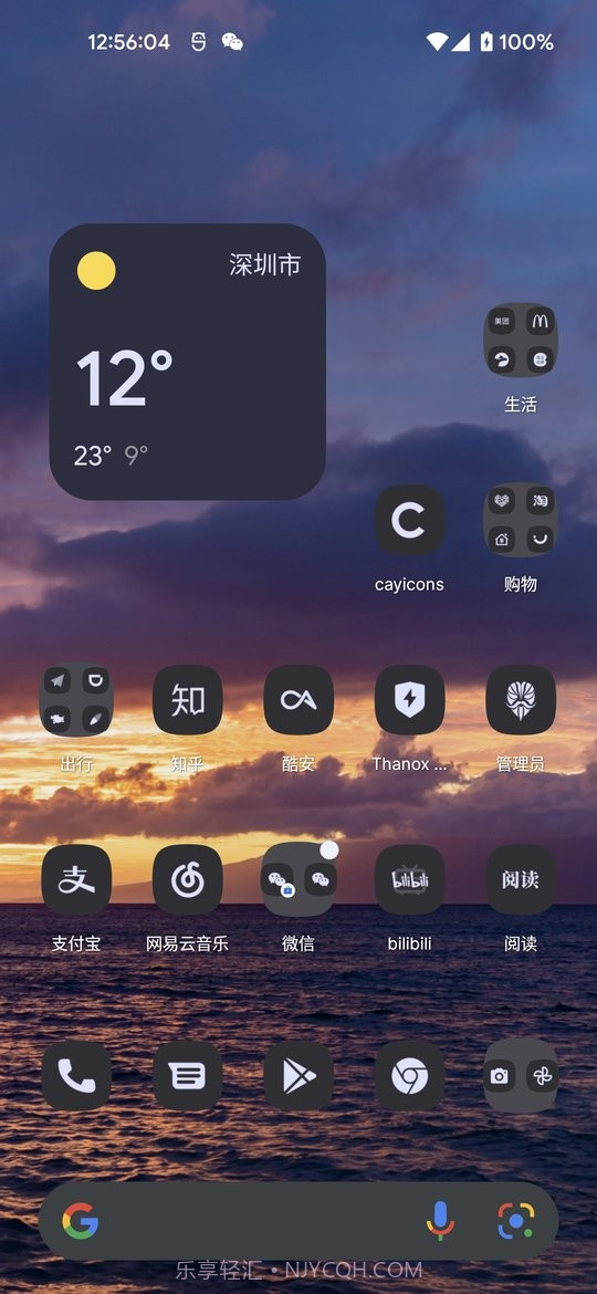 cayicons图标包截图3
