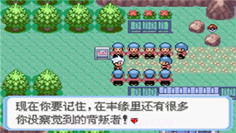 口袋妖怪蛇纹木截图4 口袋妖怪蛇纹木截图4