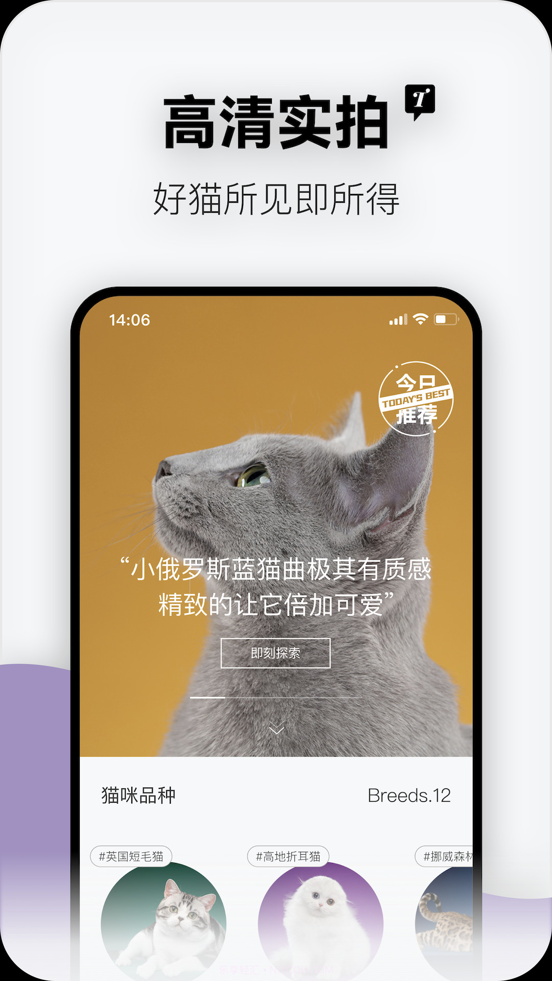 随它截图1 随它截图1
