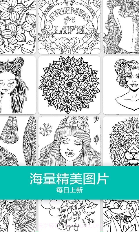 数字填色秘密花园截图2 数字填色秘密花园截图2