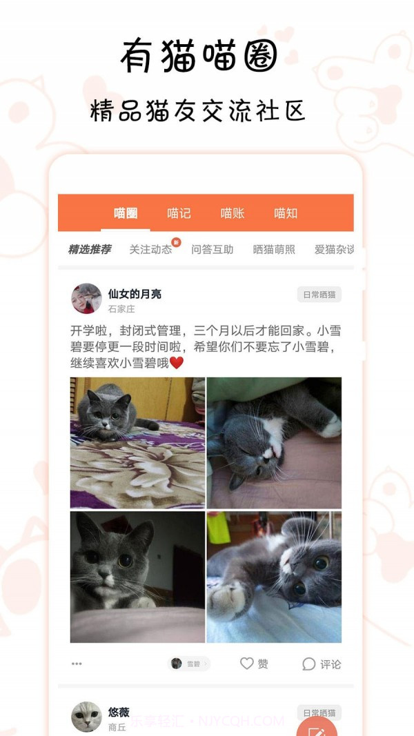 有猫截图2 有猫截图2