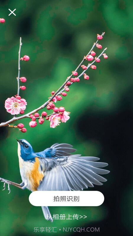 识物通截图3 识物通截图3