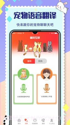 猫咪交流截图2 猫咪交流截图2